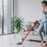 How to Clean Dog Hair from My Living Room Rug?